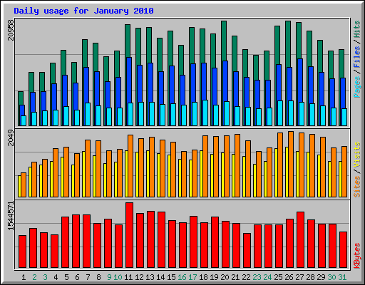 Daily usage for January 2010