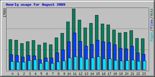 Hourly usage for August 2009