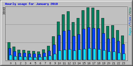 Hourly usage for January 2010
